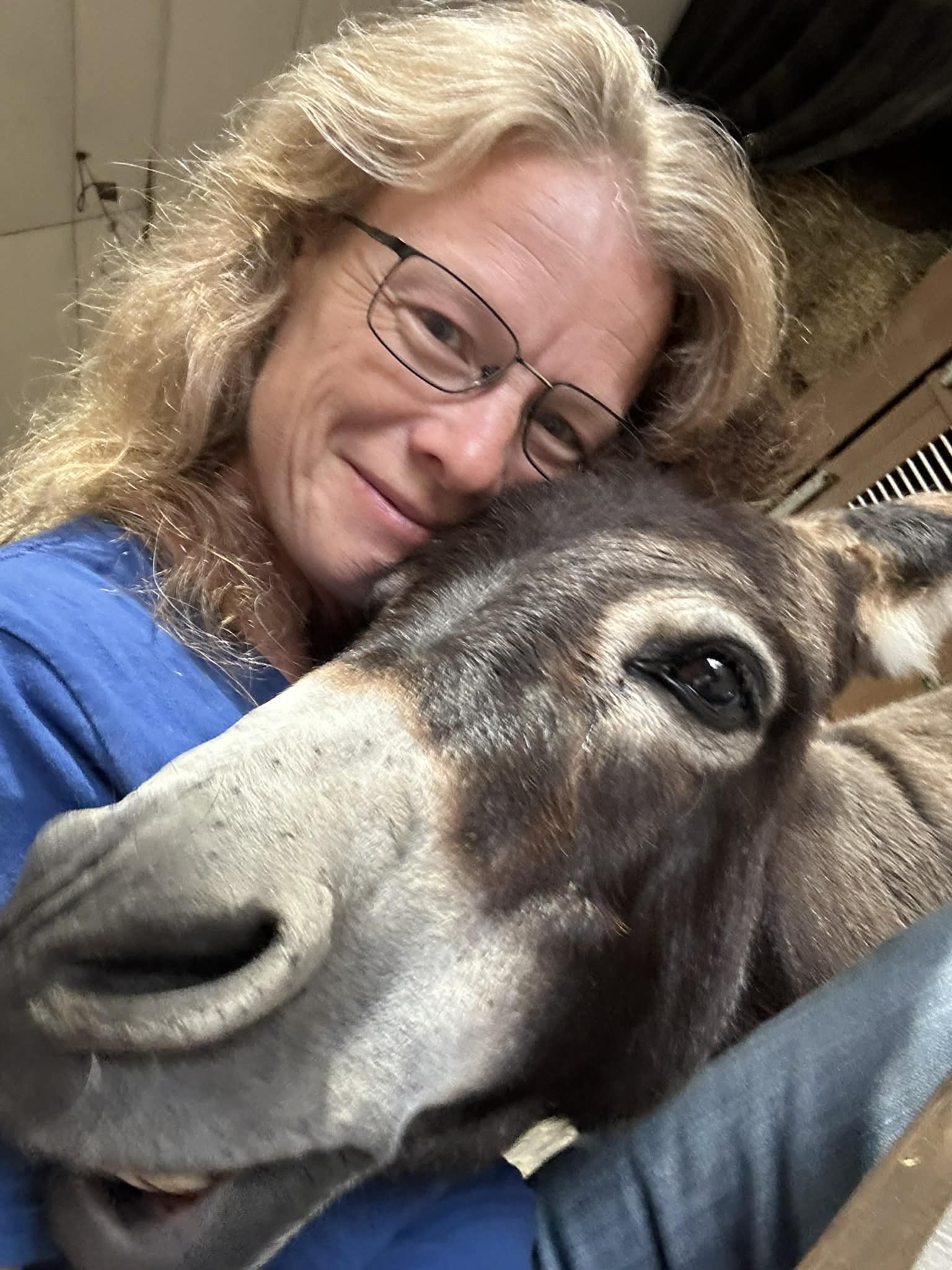 Preschooler Farm Experience | March 18- April 22 (10am)